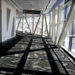 Фото Абу-Даби №15