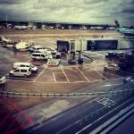 Фото Брюсселя №6