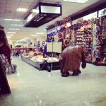 Фото Коломбо №14