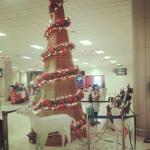 Фото Коломбо №18