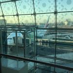 Фото Дубая №11