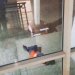 Фото Гоа №7