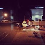 Фото Софии №18