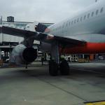 Фото Сиднея №30