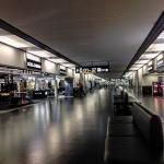 Фото Вены №7