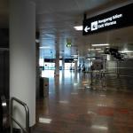 Фото Вены №9