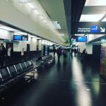 Фото Вены №24